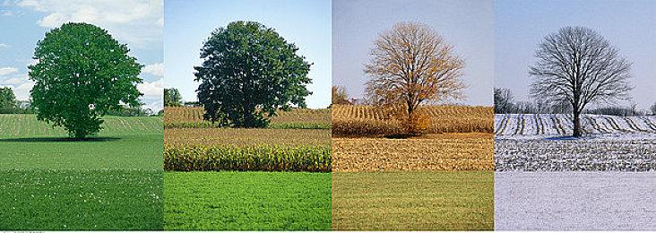 阿富汗封禁《绝地求生》和TikTok：误导青少年